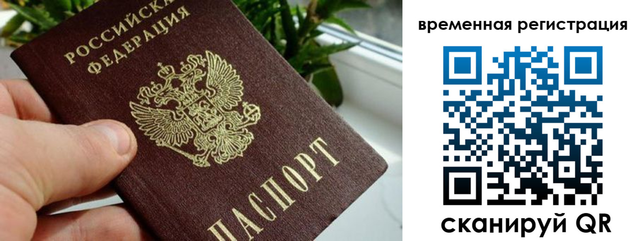 прописка поиск в Льгове